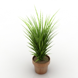 plant house 3D Model Preview #b2492b8a