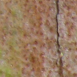 Concrete