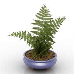plant 3D Model Preview #809c3f46