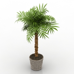 palm 3D Model Preview #e5a646d1