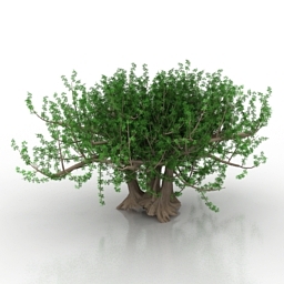 tree 1 3D Model Preview #88f0cbe6