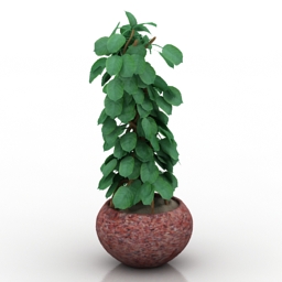plant house 3D Model Preview #5078c620