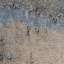 Stucco