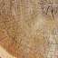 Log