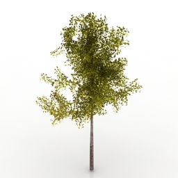 tree 3D Model Preview #039b6702