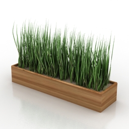 grass in box 3D Model Preview #33231816