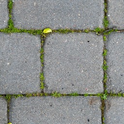 Paving