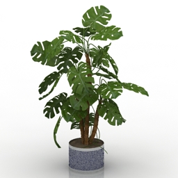 plant 3D Model Preview #54256b1e