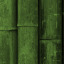 Wallpaper