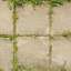 Paving