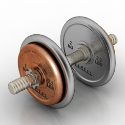 dumbbell 2 3D Model Preview #3d453c6d