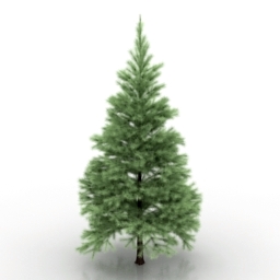 conifers tree 1 3D Model Preview #32c955c8