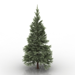 conifers tree 2 3D Model Preview #40db5745