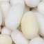 Silk-cocoons