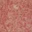 Stucco