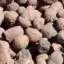 Ceramsite