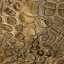 Stucco