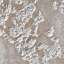 Stucco