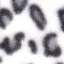Textile