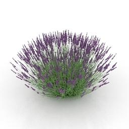 3D Flower preview
