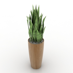 vase flowers sansevieria 3D Model Preview #6e8b2342