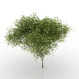 tree 3D Model Preview #1dc65945