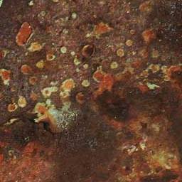 Rust