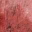 Stucco