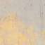 Paint