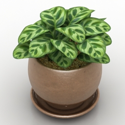 vase flowers 3D Model Preview #b0681140