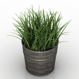 plant grass wheat 3D Model Preview #020caa65