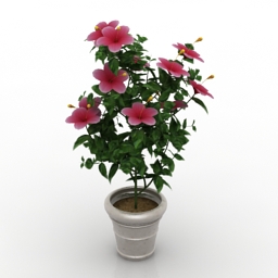 Download 3d cad models, 3d max textures, 3d help
