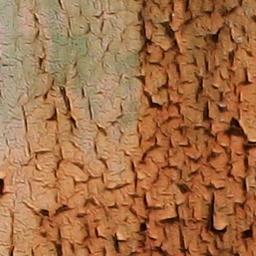 Bark