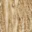Stucco