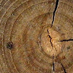 Log