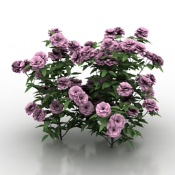 Download 3d cad models, 3d max textures, 3d help