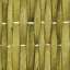 Rattan