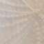 Curtain