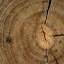 Log