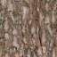 Bark