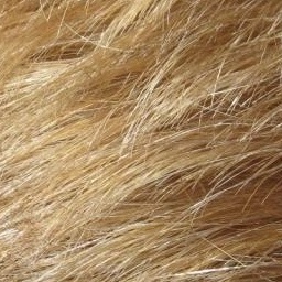 Hair