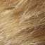 Hair