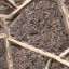 Paving