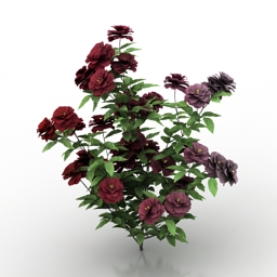 Download 3d cad models, 3d max textures, 3d help