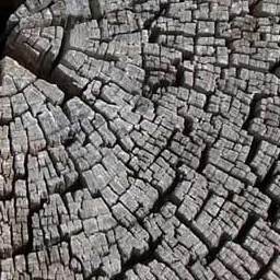 Log