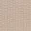 Cardboard