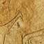 Petroglyphs