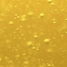 Oil