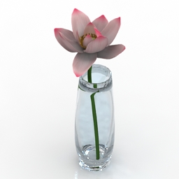 vase lotus 3D Model Preview #3c3debbd