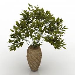 plant 3D Model Preview #52fdcc7d